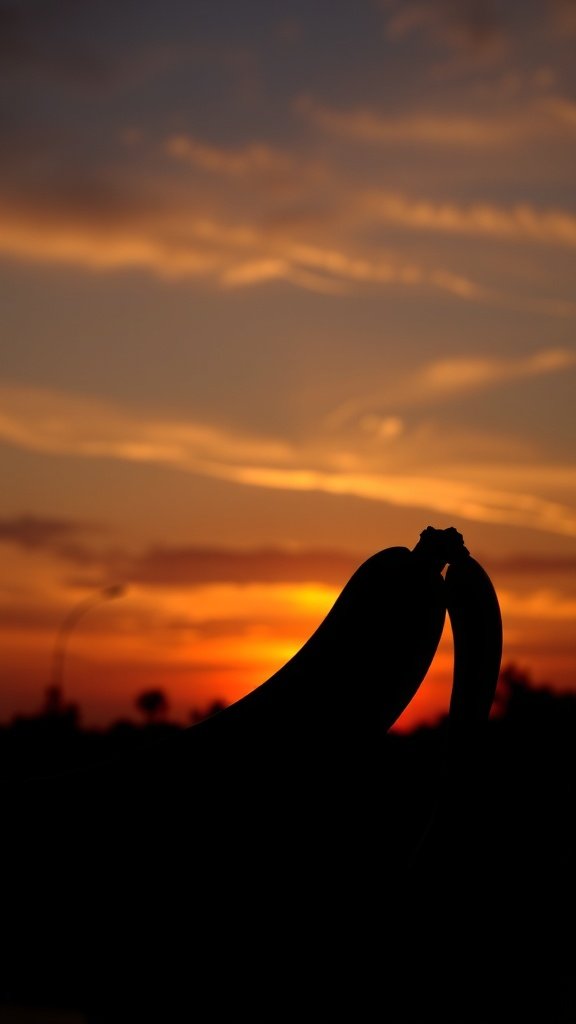 Silhouette of bananas against a colorful sunset